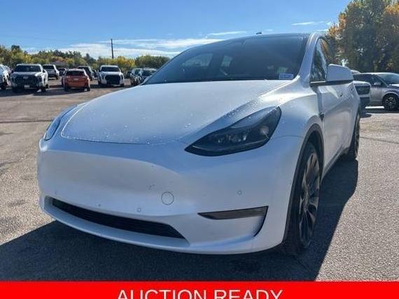 TESLA MODEL Y 2022 7SAYGDEF5NF448233 image TESLA MODEL Y 2022 7SAYGDEF5NF448233 image